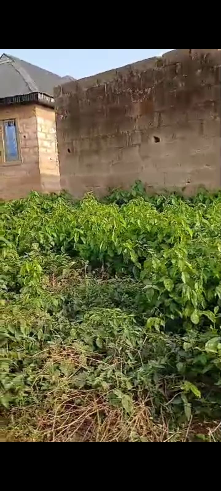 A standard full plot of land