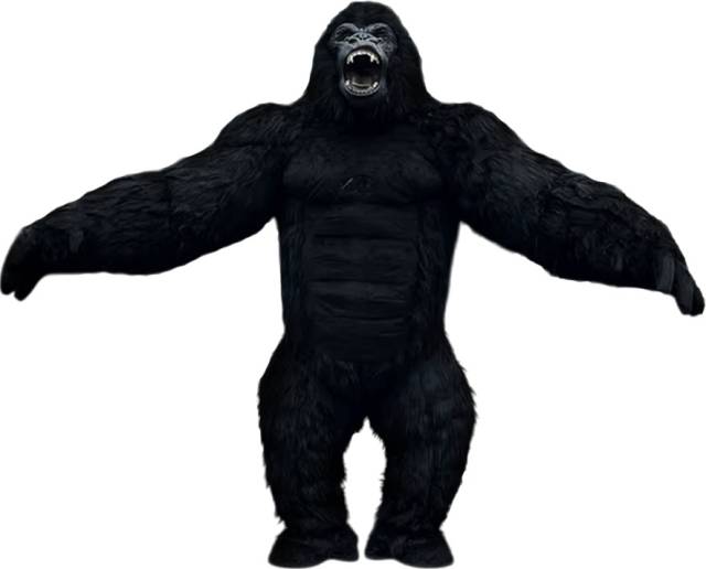 Xigi Mascots (Mascots For Hire)