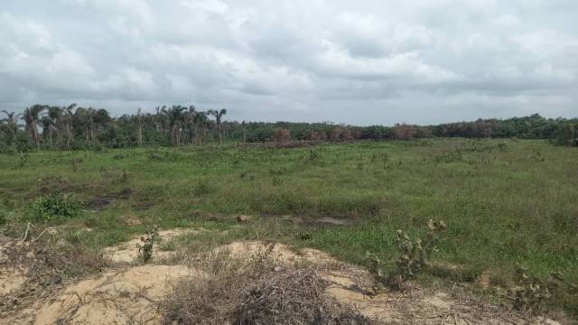 Buy Your Land At Eleko Lagos - Call 07011191079