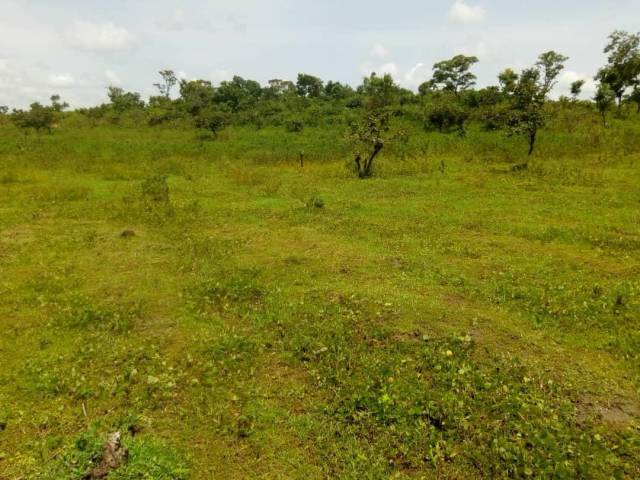 21 Hectares Land For Sale At Mararaba - Call 07044116672