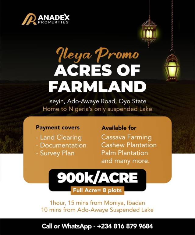Agro Land For Sale At Oyo - Call 08168799684