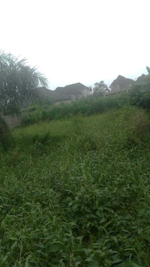Plot Of Land For Sale In Ejigbo - Call 09013564170