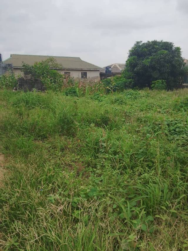 Half Plot Corner Piece Land For Sale In Ikorodu - Call 09023911804