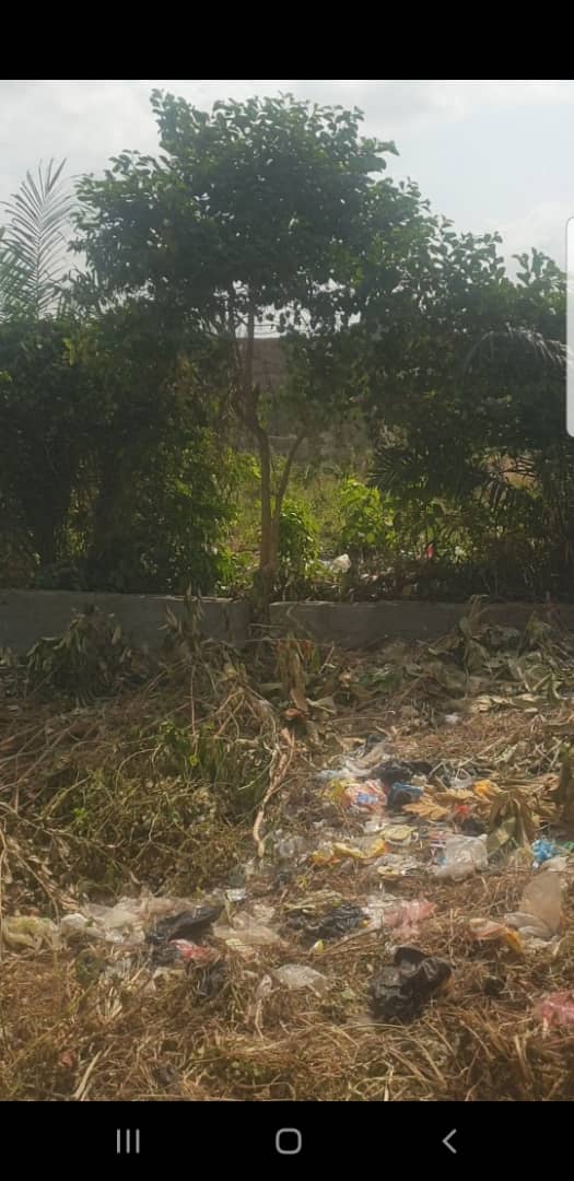 Plots Of Land For Sale At Aseese - Call 09123450150