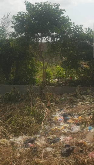 Plots Of Land For Sale At Ogun State - Call 09123450150