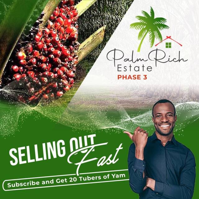 Earn Salary For Life Via Oil Palm Farming At Epe Lagos - CALL 08130112693