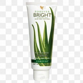 Order For Forever Living Toothpaste - Call 07066308505