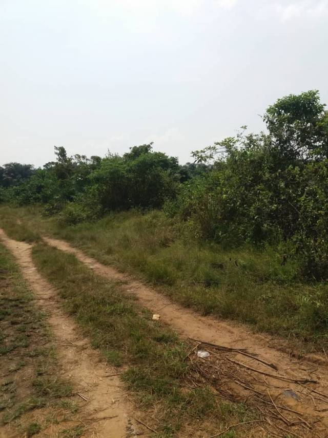 Massive Plots Of Land For Sale At Ikorodu - 08076504265