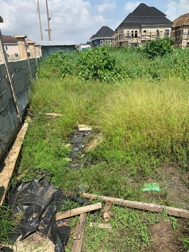 400sqm Plot Of Land At Pearl Garden Estate Sangotedo - Call 07062410156