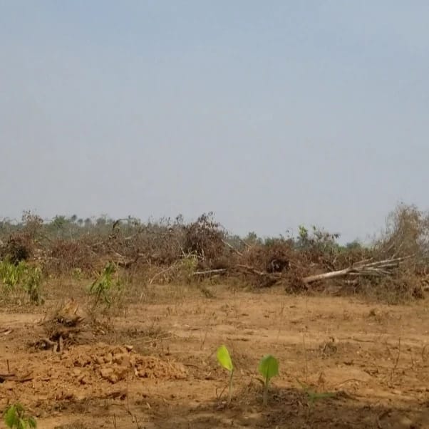 Buy One Acre Of Land For N970k Only In Ibadan - Call 08034414195
