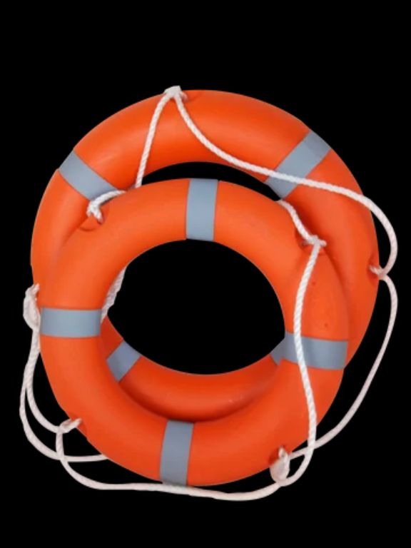 Boat Safety Life Ring Buoy