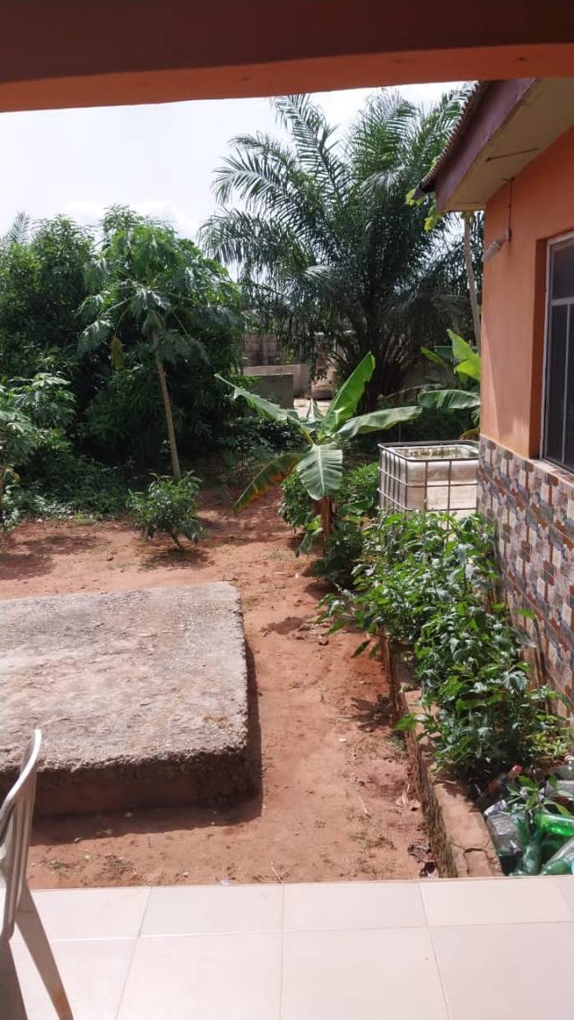 25ft By 100ft Full Plot At Ijegun For Sale - Call 08062083232