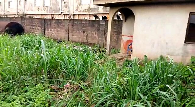 Land For Sale At Odogunyan Ikorodu - Call 07038402301