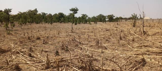 10170sqm Of Land At Jikwoyi Abuja - Call 07055612226