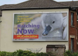 OUTDOOR CANVAS GLOSS SIGNAGE