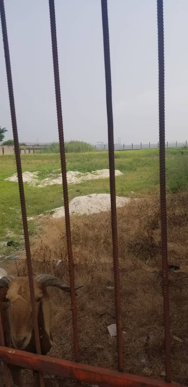 LEKKI WATERFRONT LAND FOR SALE (Call Or WhatsApp - 08077734355)