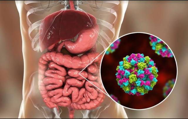 Holistic Healing For Gastroenteritis (Call Or WhatsApp - 08038089801)