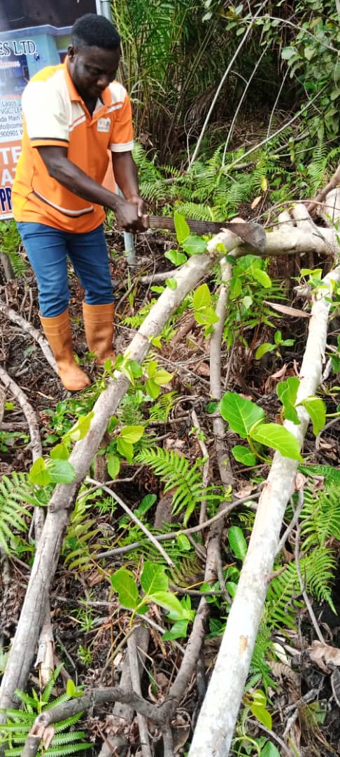 Plots Of Land For Sale At Lekki With Very Good Features