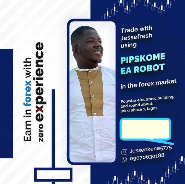 Earn In Forex With Zero Experience (WATCH VIDEO)